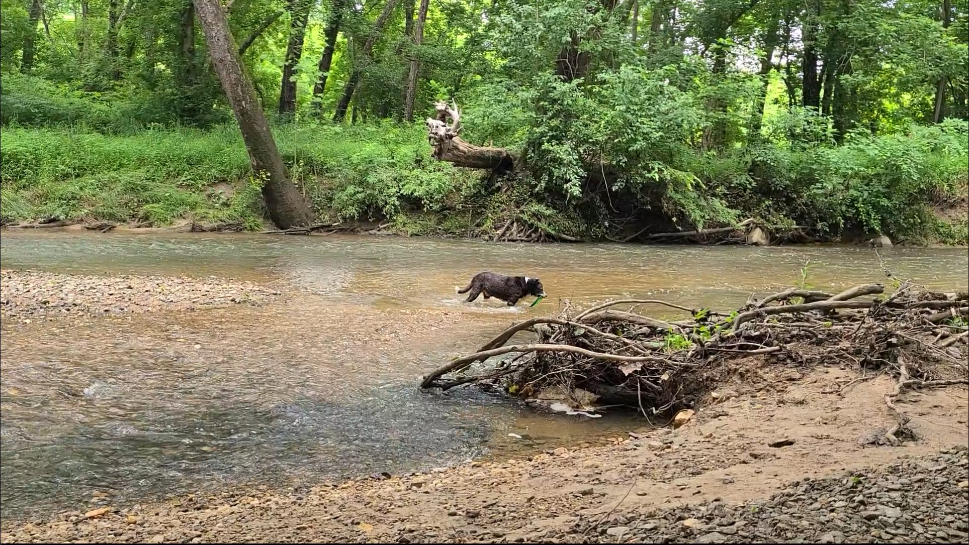 Auto-fetching at Difficult Run